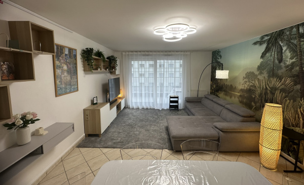 Offres de location Appartement Villeurbanne 69100